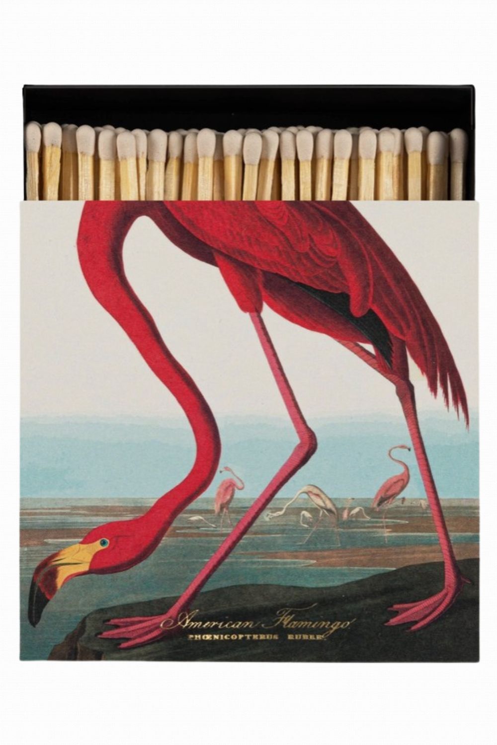ARCHIVIST GALLERY AMERICAN FLAMINGO MATCH BOX