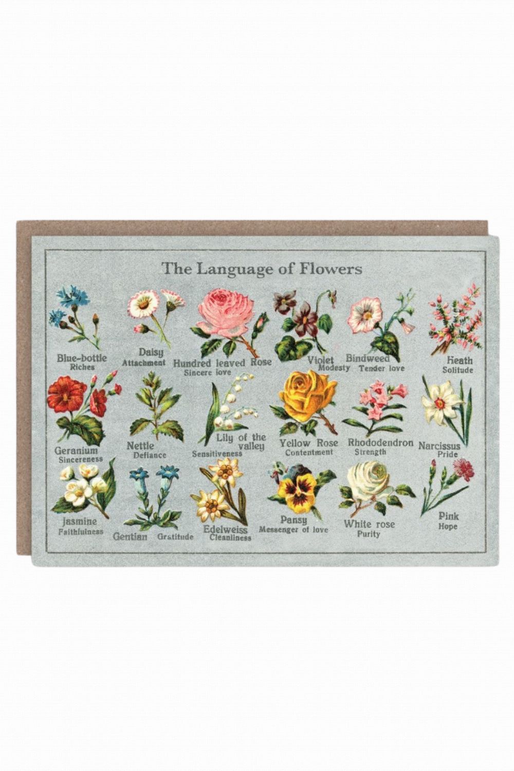 THE PATTERN BOOK THE LANGUAGE OF FLOWERS GREETING CARD