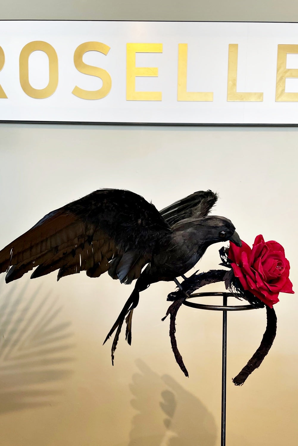 FLORA FASCINATA CAW CAW THE CROW HEADPIECE
