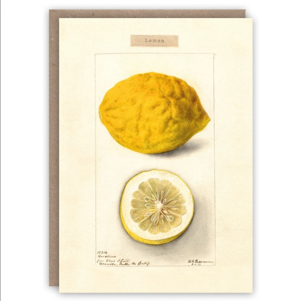 THE PATTERN BOOK LEMON GREETING CARD
