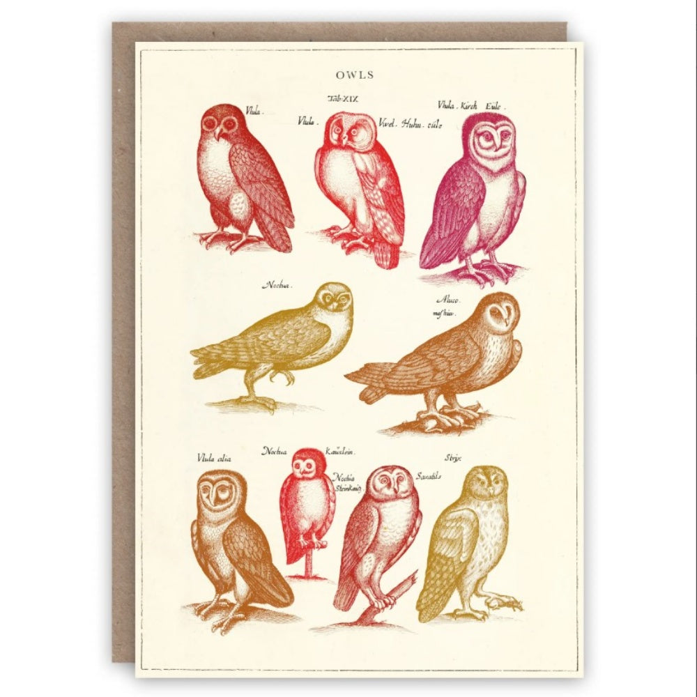 THE PATTERN BOOK OWLS GREETING CARD