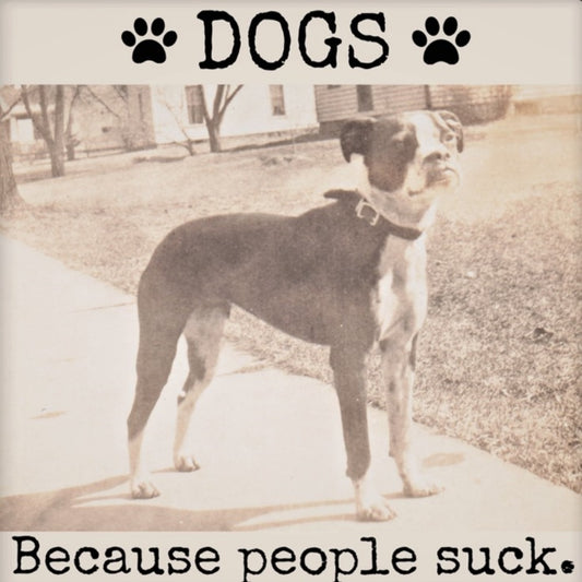 DOGS MAGNET