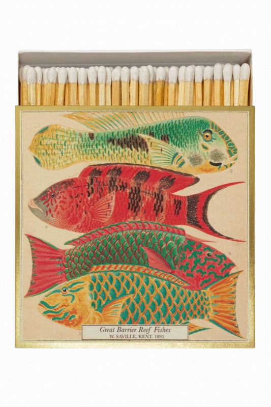 ARCHIVIST GALLERY FISH MATCH BOX