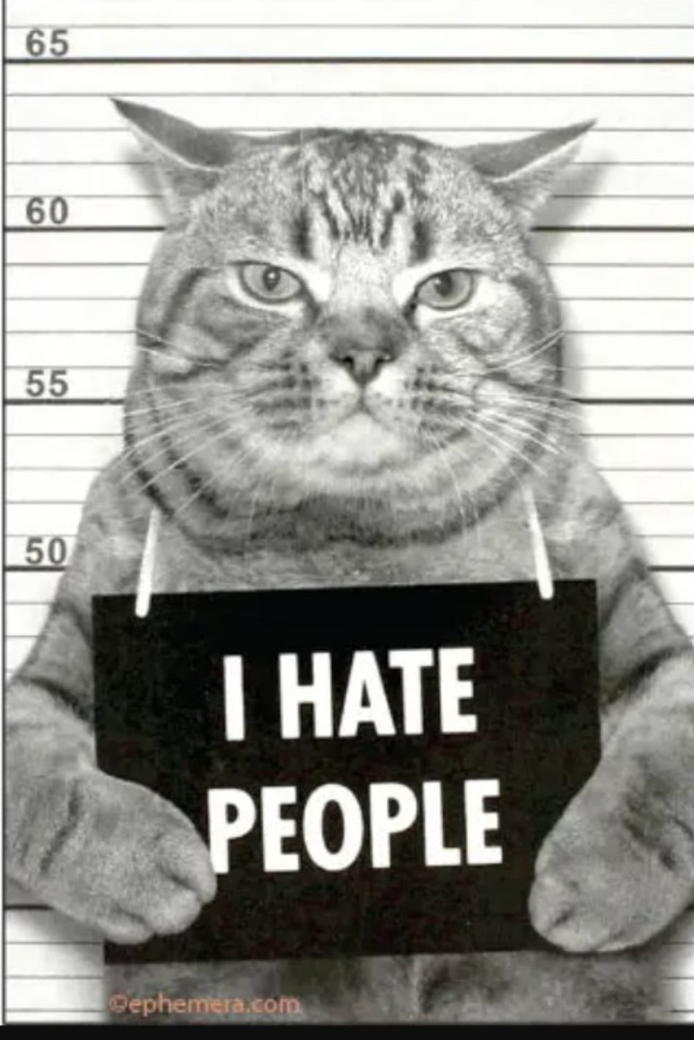 HATE PEOPLE MAGNET