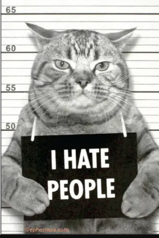HATE PEOPLE MAGNET