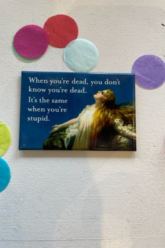 STUPID MAGNET