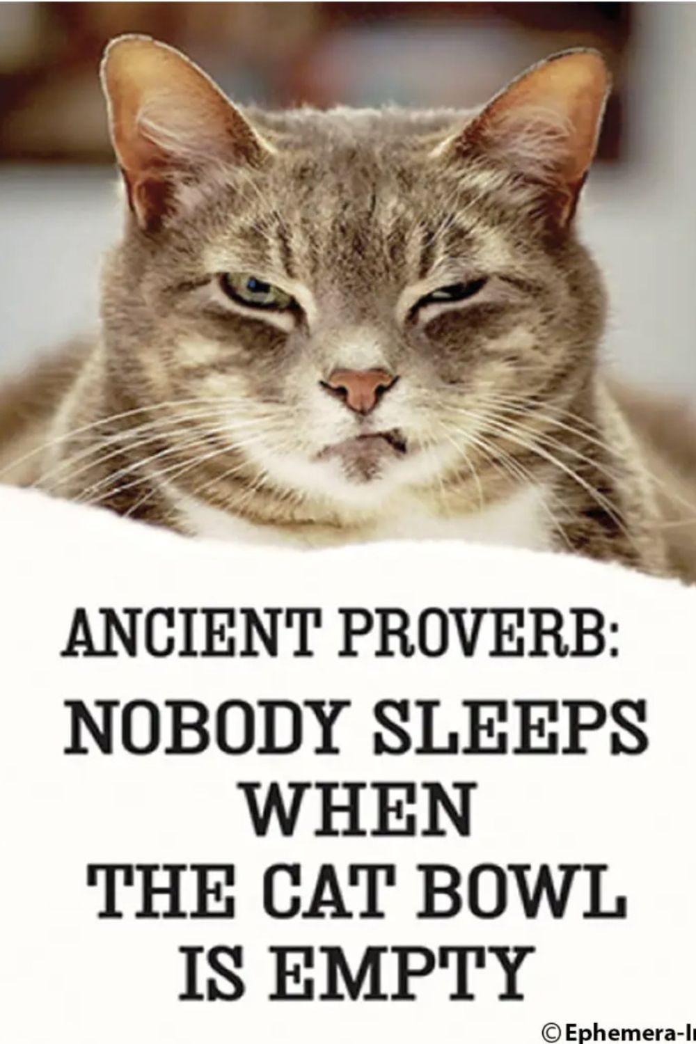 NOBODY SLEEPS MAGNET
