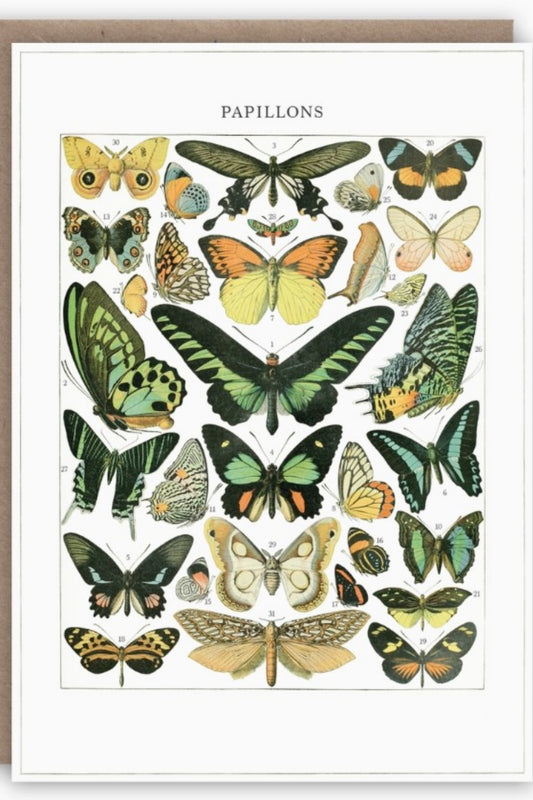 THE PATTERN BOOK PAPILLONS GREETING CARD