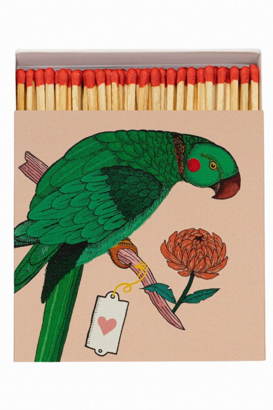 ARCHIVIST GALLERY PARROT MATCH BOX