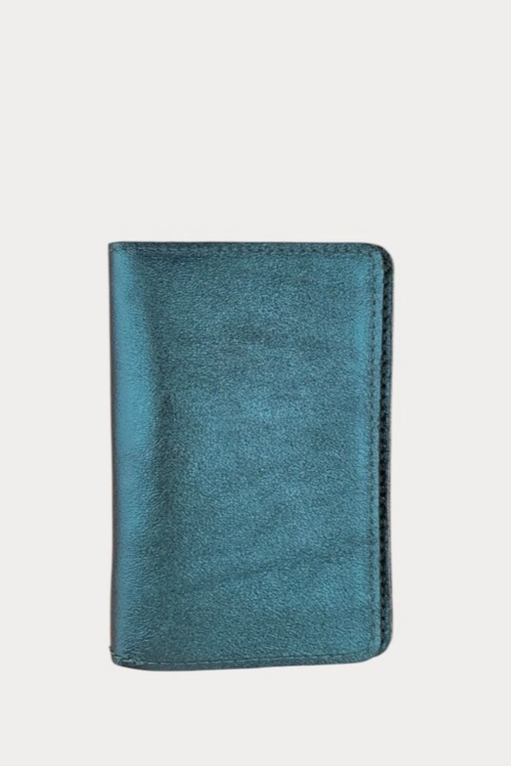 GLOBE PASSPORT HOLDER TEAL