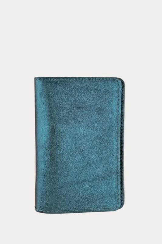 GLOBE PASSPORT HOLDER TEAL
