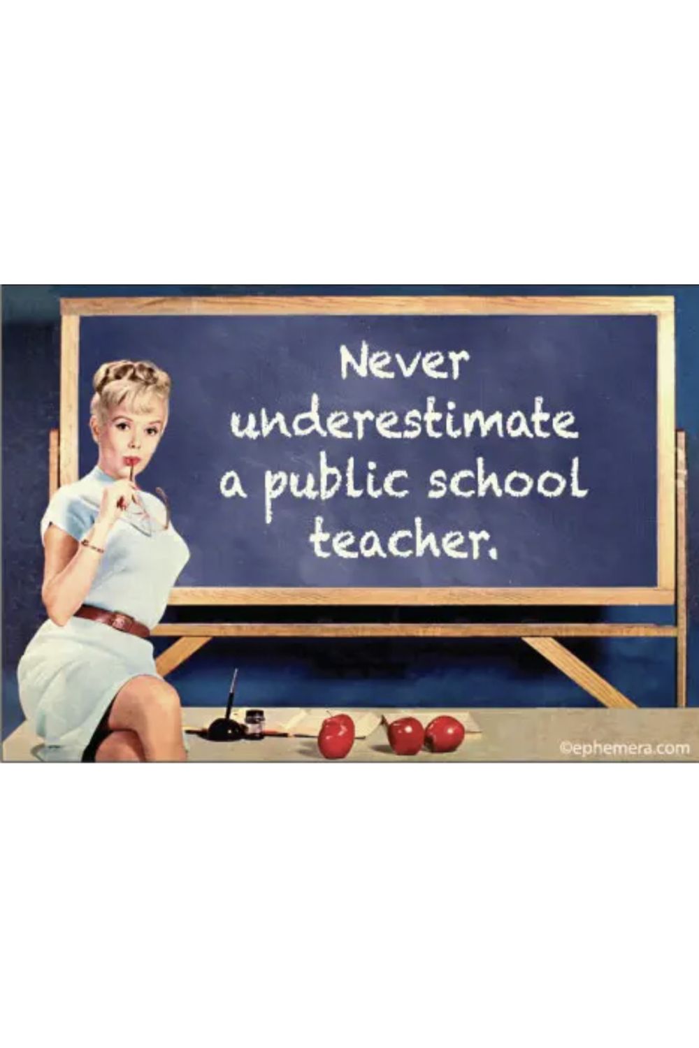 PUBLIC SCHOOL TEACHER MAGNET