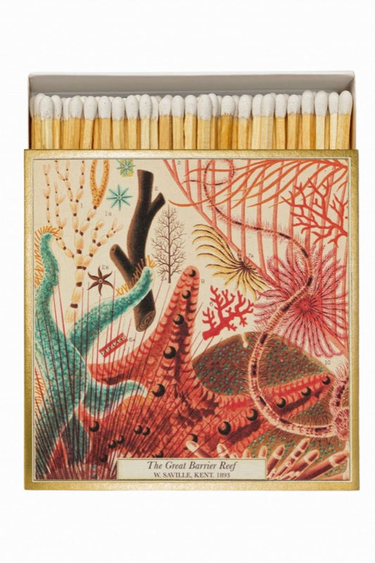 ARCHIVIST GALLERY GREAT BARRIER REEF MATCH BOX