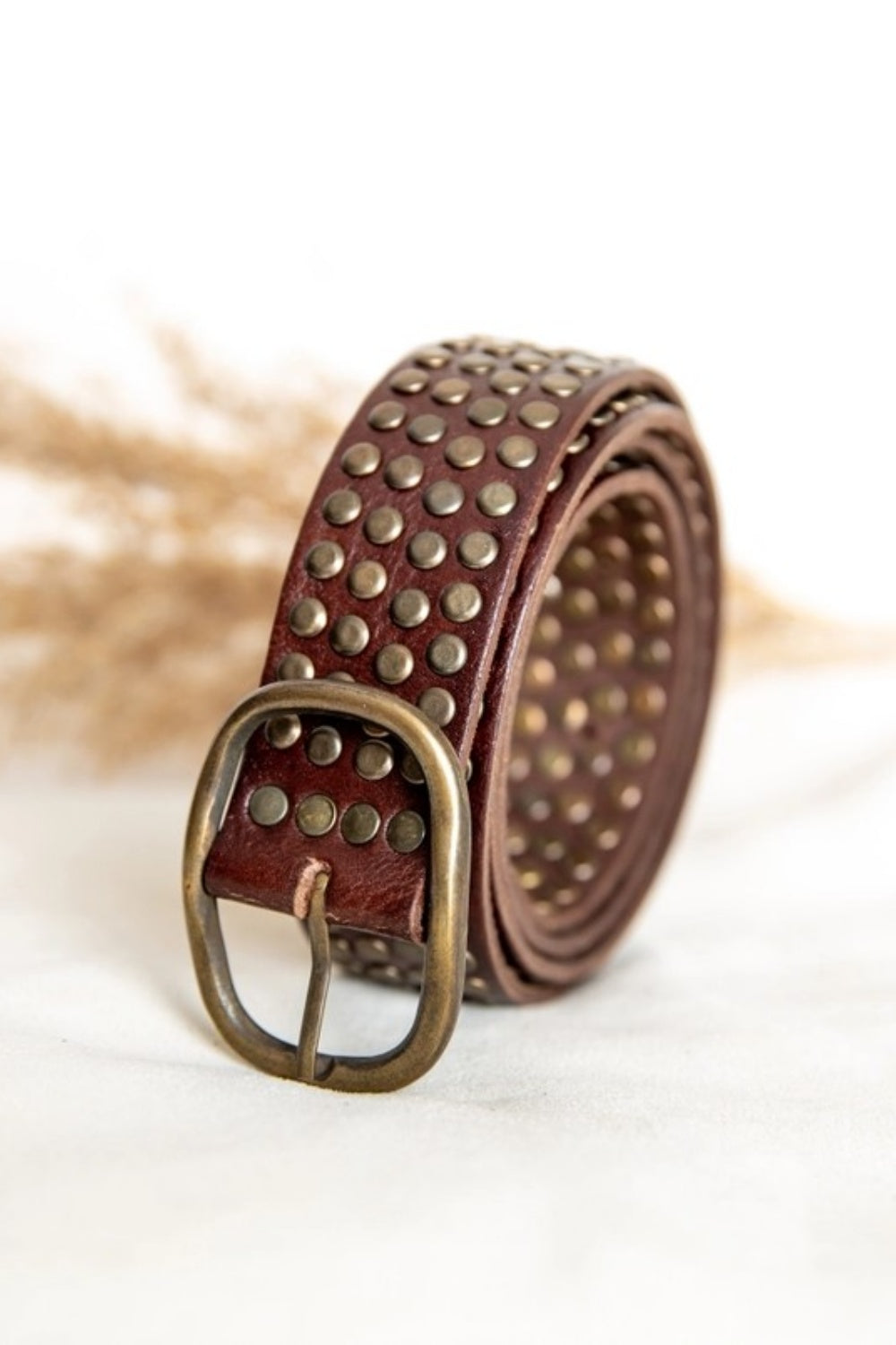 ROBERTA STUDDED BELT CHOCOLATE