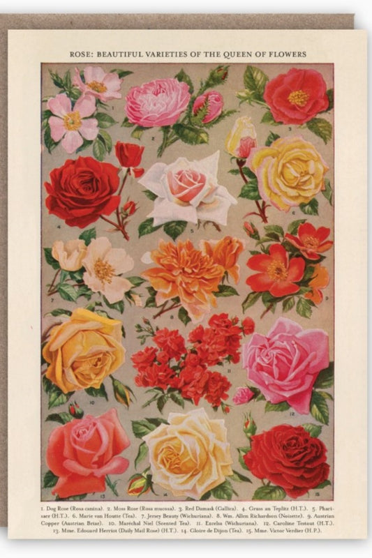 THE PATTERN BOOK ROSES GREETING CARD