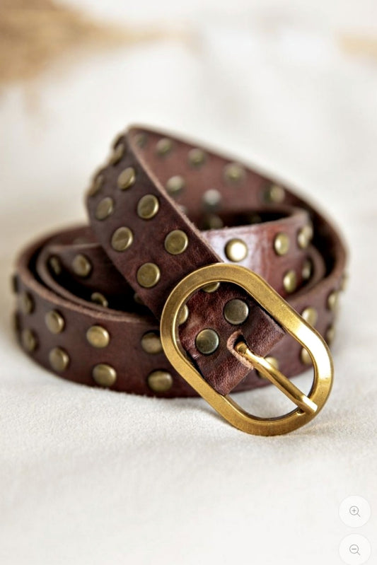 STUDLEY BELT CHOCOLATE