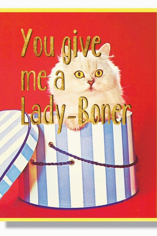 SMITTEN KITTEN YOU GIVE ME GREETING CARD