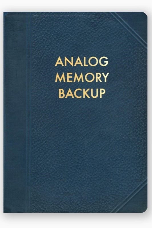 THE MINCING MOCKINGBIRD ANALOG MEMORY BACK UP JOURNAL