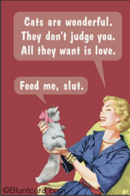 CATS ARE WONDERFUL MAGNET