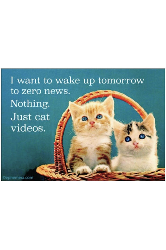 CAT VIDEOS MAGNET