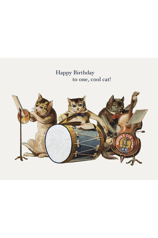 COOL CAT CARD