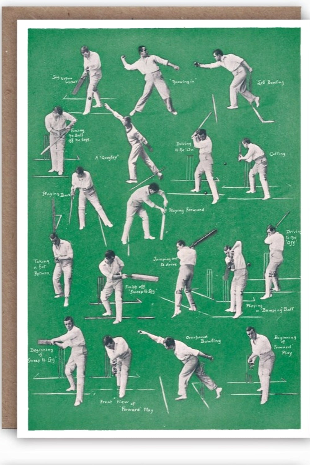 THE PATTERN CRICKET GREETING CARD