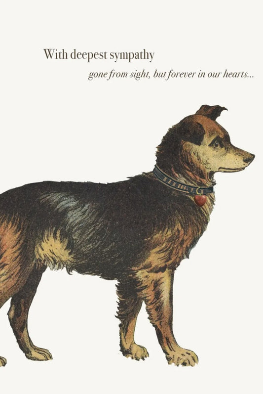 DOG SYMPATHY CARD