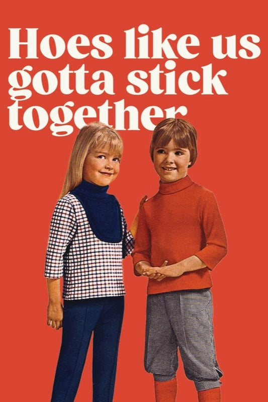 OFFENSIVE DELIGHTFUL HOES LIKE US MAGNET