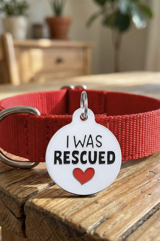 BAD TAGS I WAS RESCUED DOG TAG