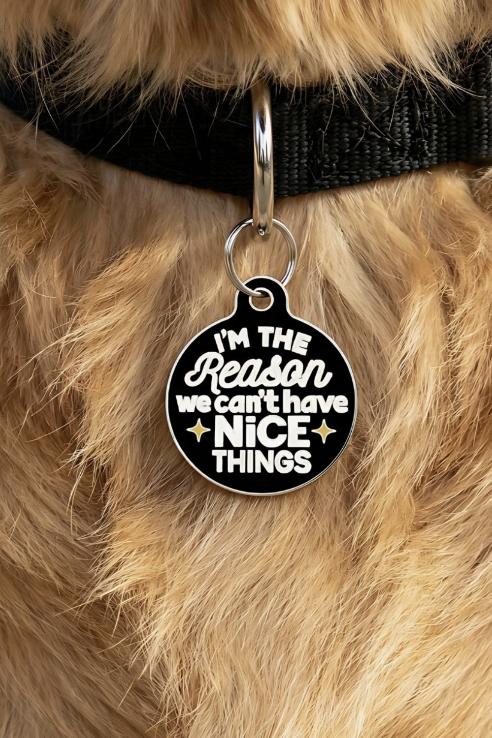 BAD TAGS NICE THINGS DOG TAG
