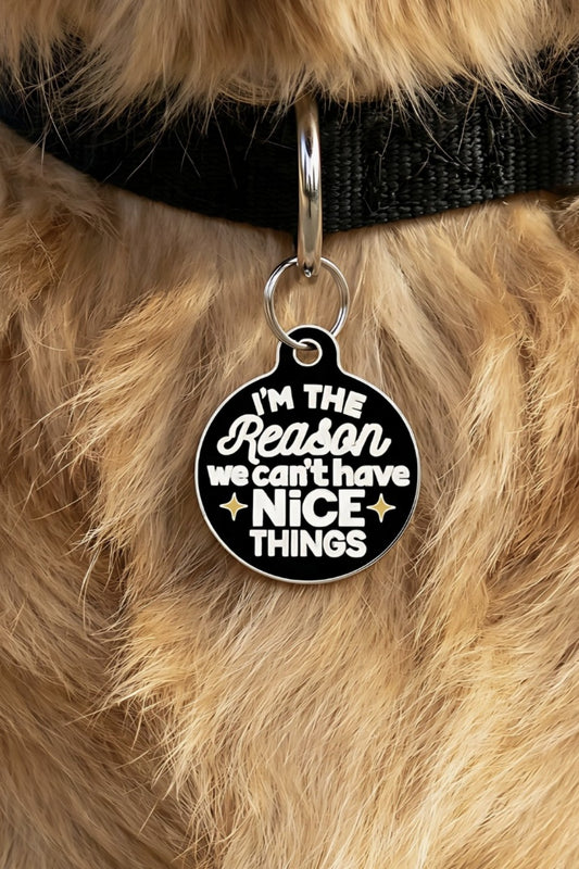 BAD TAGS NICE THINGS DOG TAG