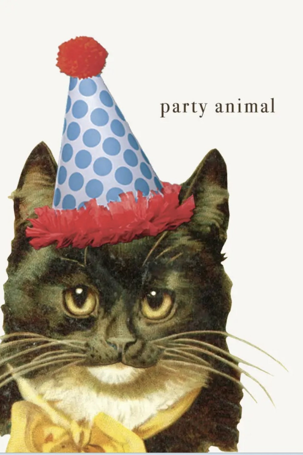 PARTY ANIMAL CARD
