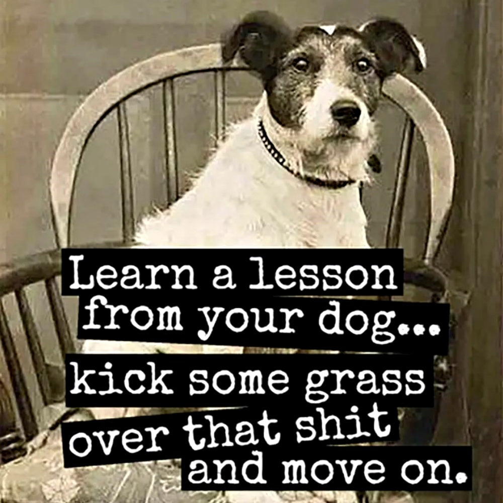 LESSON FROM YOUR DOG MAGNET